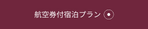 航空券付宿泊プラン