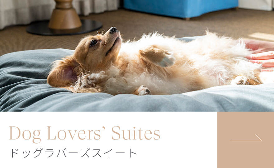 Dog Lovers’ Suites ドッグラバーズスイート
